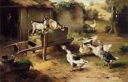 unknow artist Poultry 076 oil painting picture wholesale